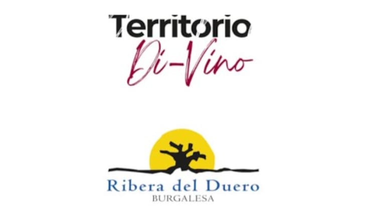 Nos acercamos a la nueva marca de promoción de la Ribera del Duero "Territorio Divino" con Héctor Ibáñez, gerente de ADRI Ribera del Duero