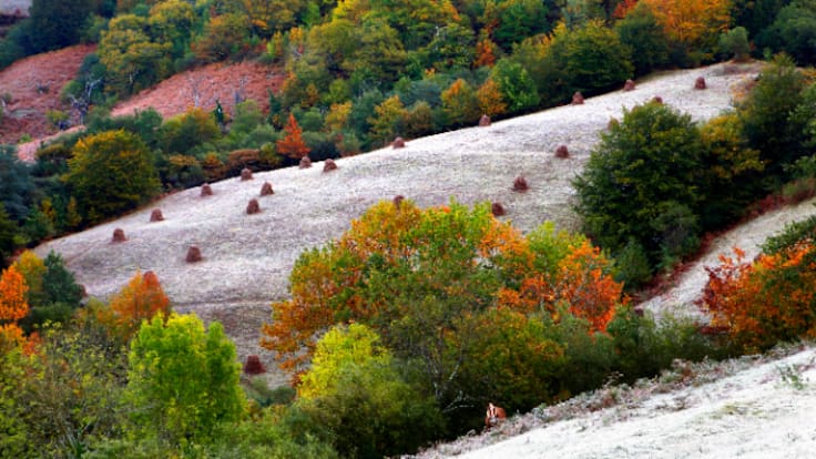 Entrevista a Ana Bretaña, directora general de Medio Ambiente