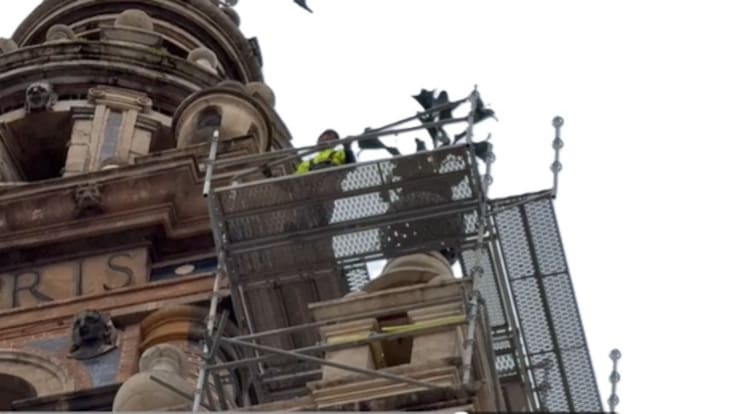 El arquitecto conservador de la Giralda, Eduardo Martínez Molla, ha explicado que "la prudencia" los ha llevado a retirar todas las azucenas de la Giralda