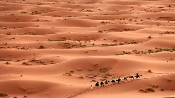 Daniel Vidal, investigador rere la descoberta de l'Spinosaurus: "hem trobat una mina d'or"