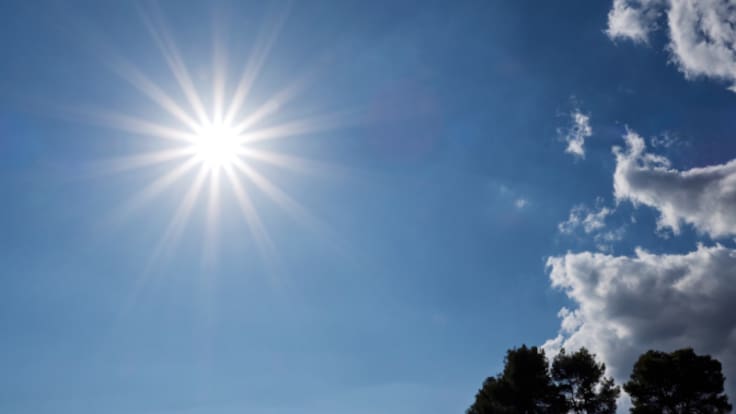 Y por fin volvió el sol a León (24/02/2026)