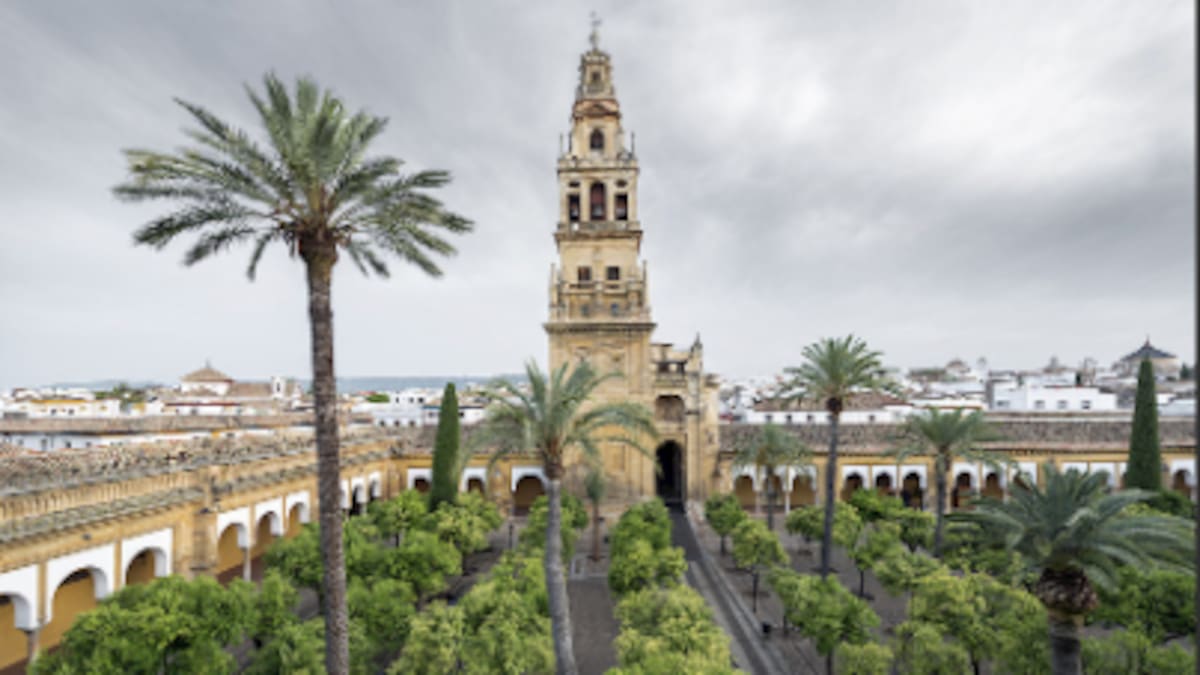 Las naranjas del Patio de los Naranjos de la Mezquita se transforman en vinagre gourmet con sello cordobés