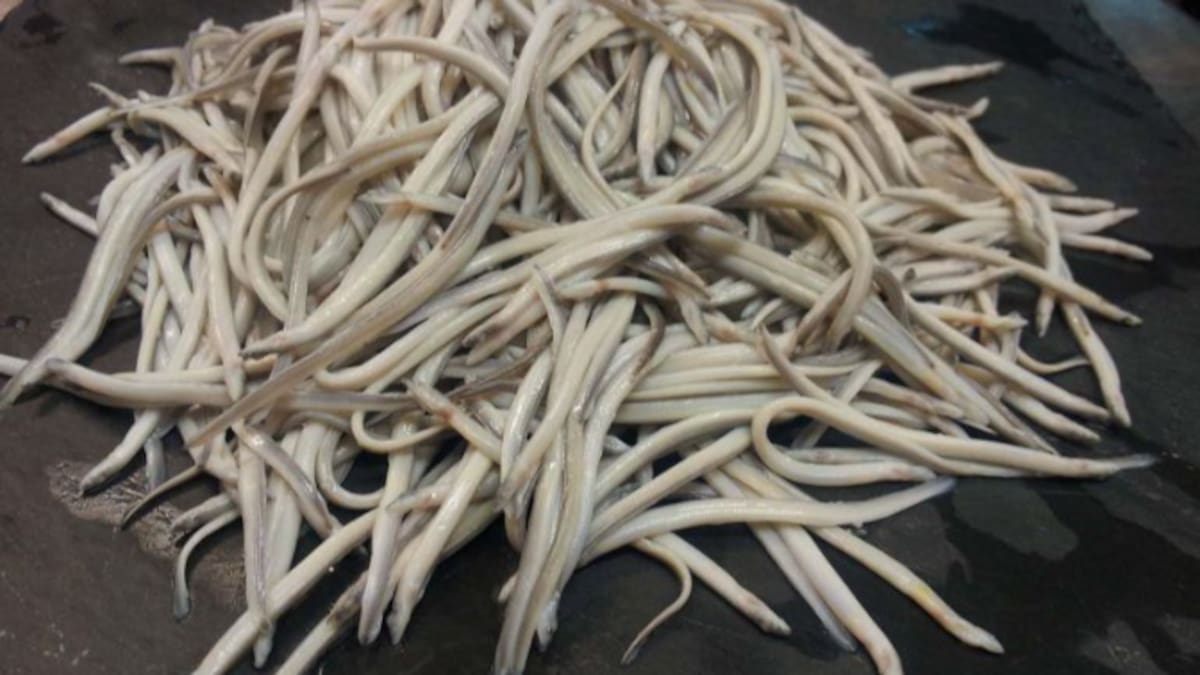 Reportaje | Cuando la angula nos pone frente al espejo