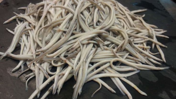 Reportaje | Cuando la angula nos pone frente al espejo