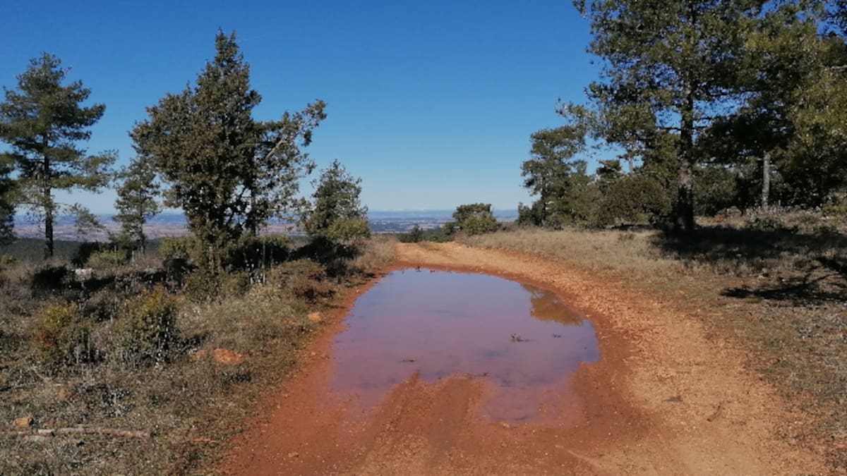 Ruta desde Bascuñana de San Pedro hasta el cerro Losares en busca de amplias vistas