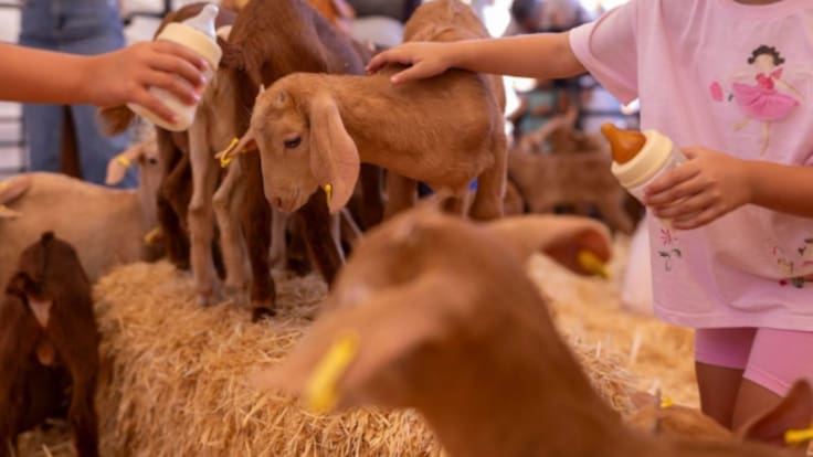 SERPeques: teatros y talleres para pasar el fin de semana en familia