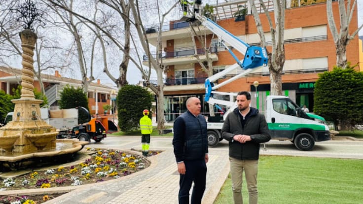 Así protegen los arboles lorquinos