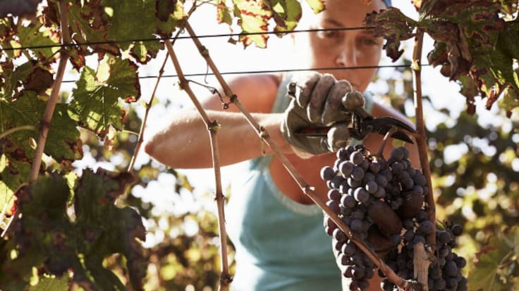 Jaraíz (07/03/2026)