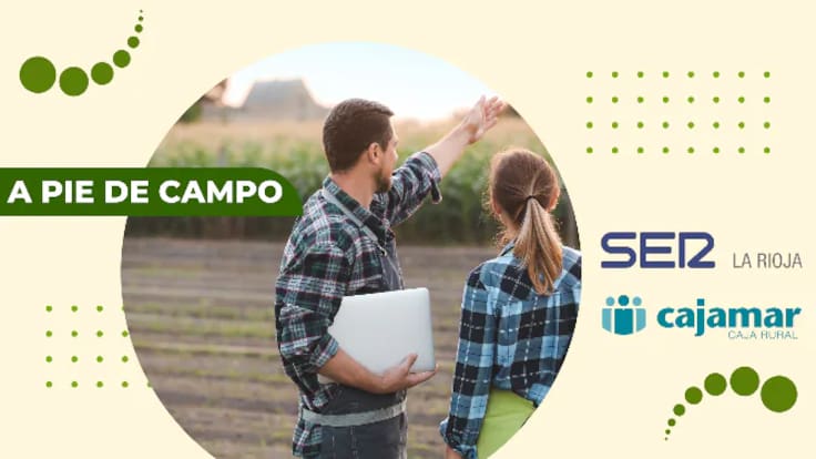 A pie de campo: momento crucial para el cultivo del almendro