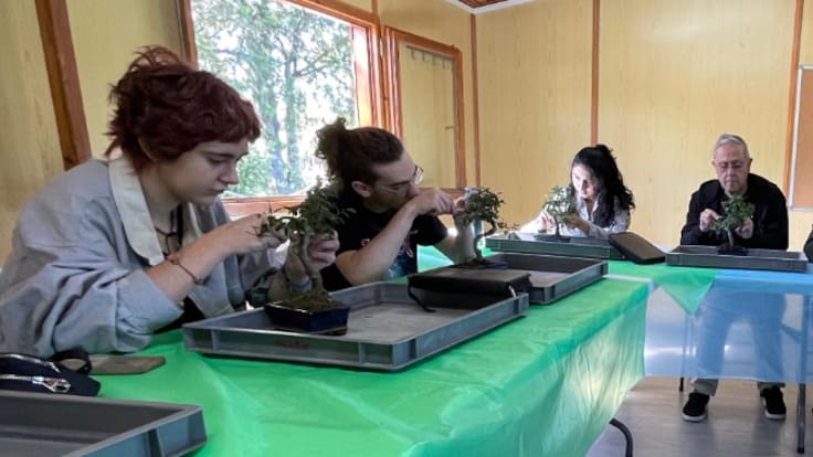 Entrevistamos a Mariángeles Macías, secretaria de la Asociación Club de Amigos del Bonsái de Fuenlabrada