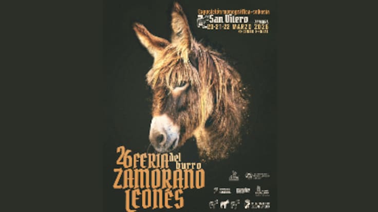 La feria del asno zamorano-leonés celebra la 26º edición
