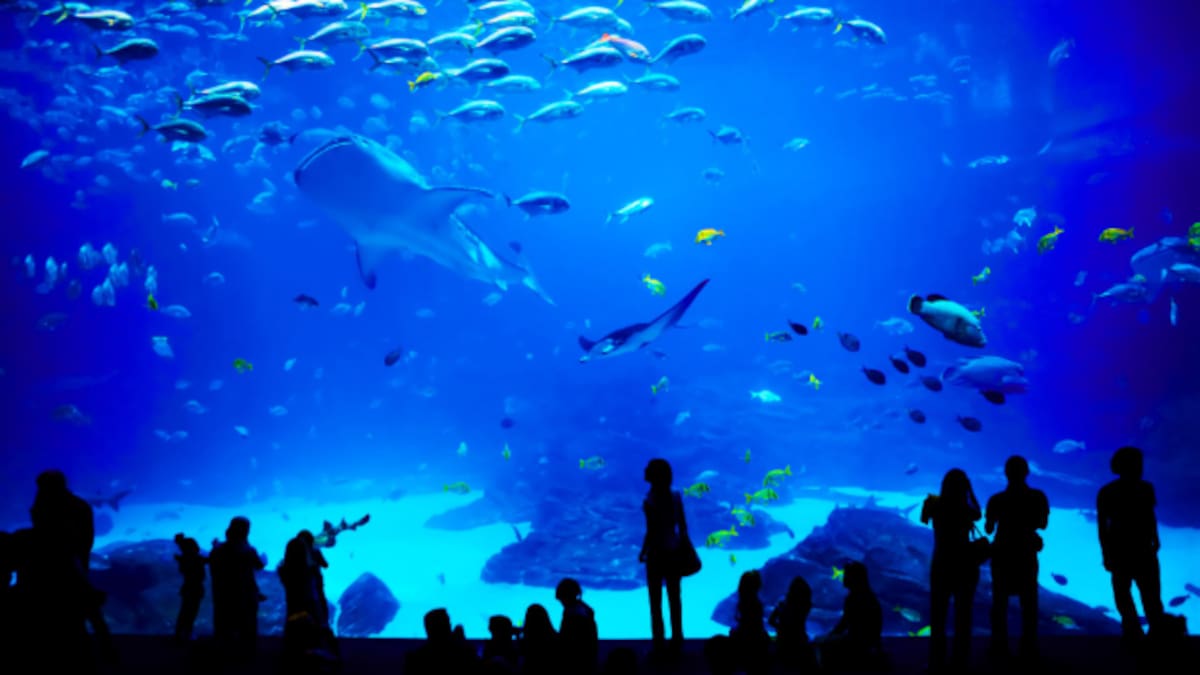 Mensaje grabado por SER Gijón para la cápsula del tiempo y que será reproducido en 2046