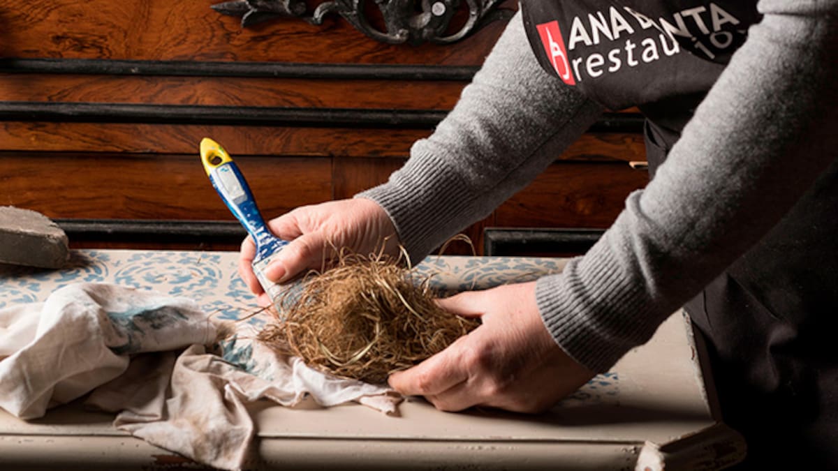 Ana Basanta: el arte de devolver la vida a muebles antiguos