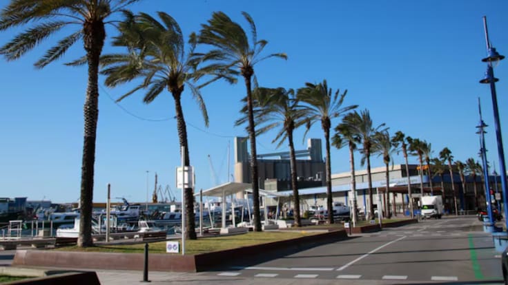 Què has de tenir en compte si condueixes amb fortes ventades?