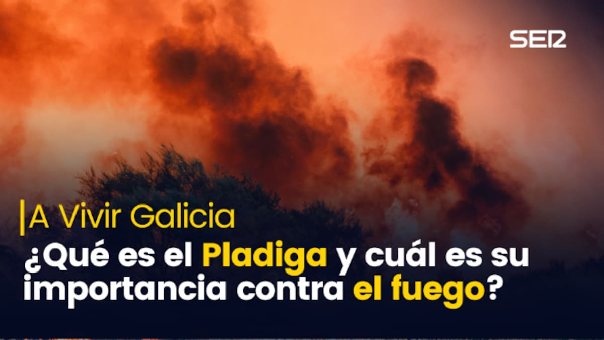 El nuevo Pladiga, ¿suficiente para evitar otro verano negro?