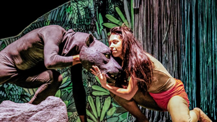 Tragaluz - Entrevista a Joaquín Casanova, director del espectáculo ¡Soy salvaje!