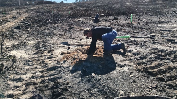 Acción ciudadana para que el Valle del Eria resurja de sus cenizas (06/04/2026)