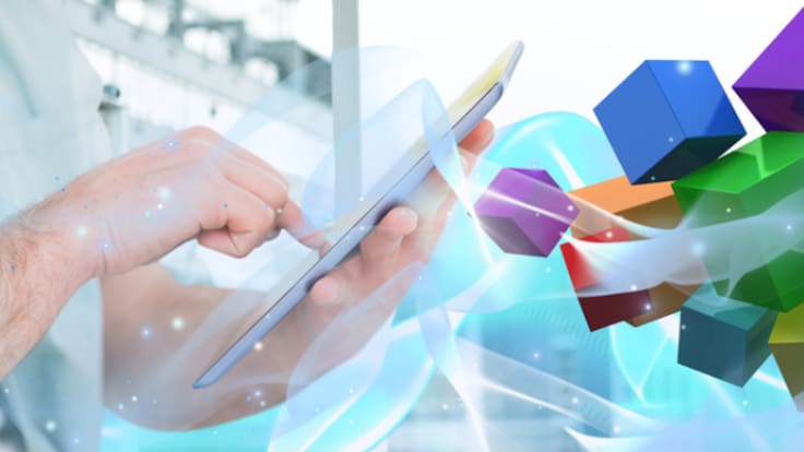 Micaela Fernández, directora de Función Pública de la CARM