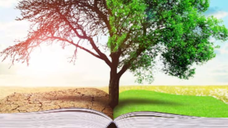 'Ecología y poetas', la firma de opinión de Pablo Ferrandis