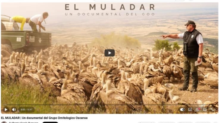 Ignacio Arizón, del Grupo Ornitológico Oscense, en Hoy por Hoy