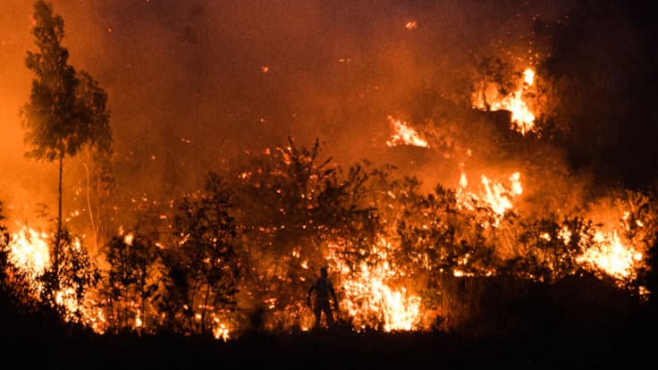 El incendio de Ponteareas, "un preludio": "Se están dando los avisos. ¿Qué más hace falta?"
