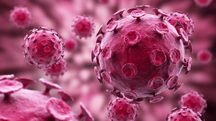 10 pacients curats del VIH gràcies a un trasplantament de medul·la: en quins casos funciona?