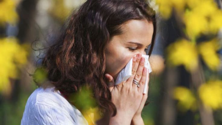 El polen se dispara en Málaga con niveles muy altos de olivo y parietaria