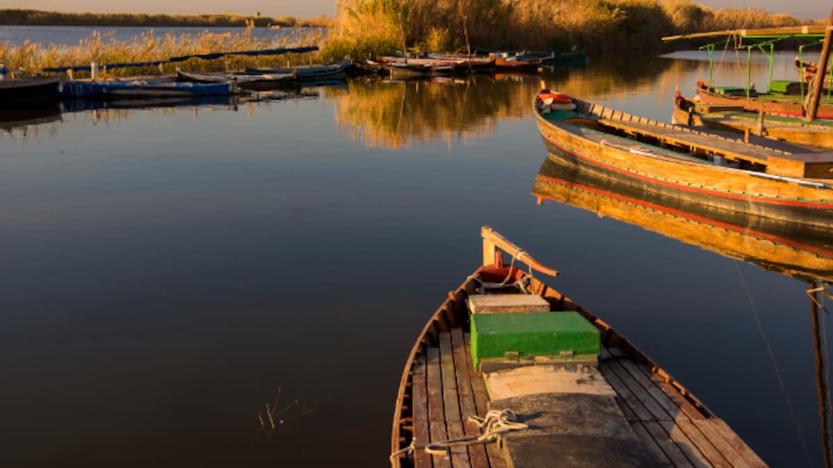 La Llavor (18/04/2026)