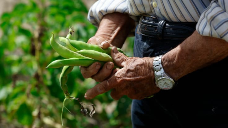 El Rasillo lanza 'Huertos Vivos' para que los jóvenes del pueblo vuelvan a cultivar