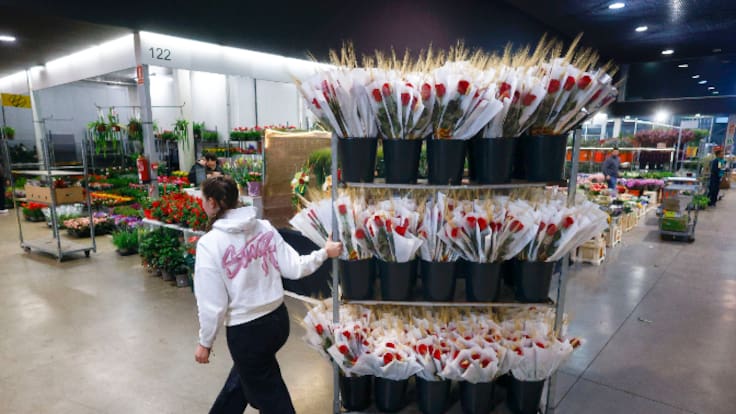 La fi de les roses catalanes: el gremi de floristes adverteix que "la situació és irrecuperable"