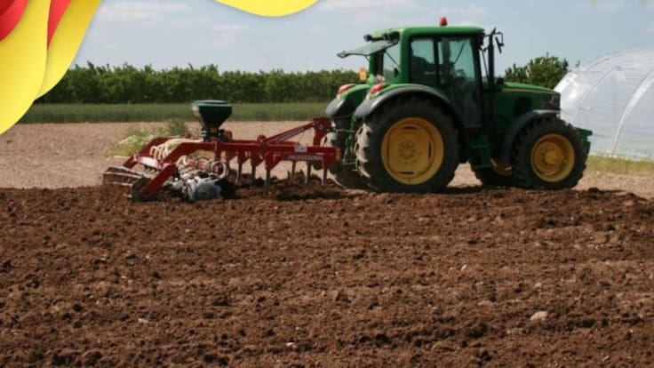 Cristina Sanromán, responsable de las oficinas OCAS en el Gobierno de Aragón