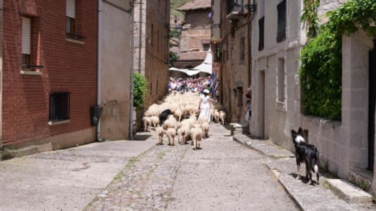 La trashumancia es declarada Bien de Interés Cultural en La Rioja