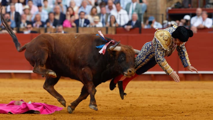 El doctor Octavio Mulet no habla aún de plazos para la recuperación de Morante