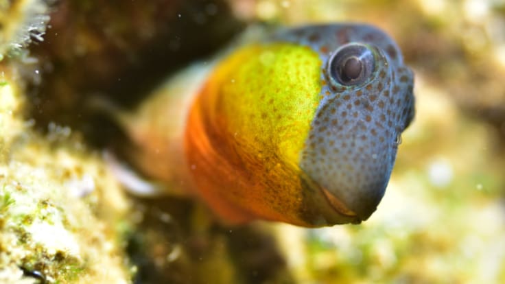 ENTREVISTA I José Luis Alcaide en Hoy por hoy Cartagena, 22/04/2026