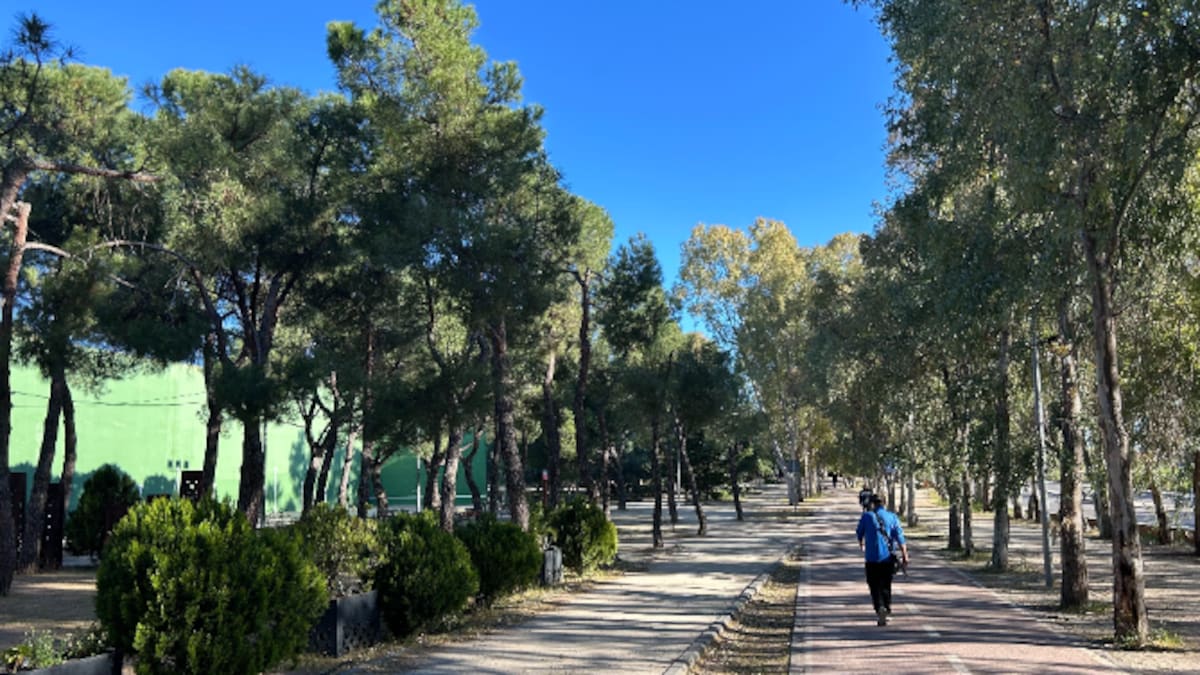 Violeta Bonet, concejala de Medio Ambiente de Leganés, habla sobre la plantación de árboles y arbustos que llegarán de IMIDRA.