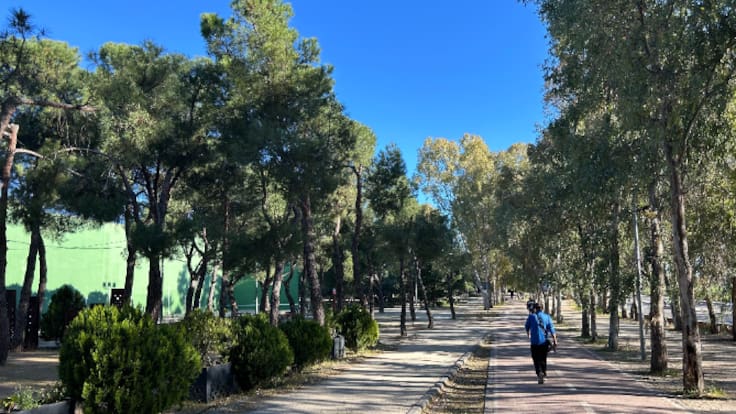 Violeta Bonet, concejala de Medio Ambiente de Leganés, habla sobre la plantación de árboles y arbustos que llegarán de IMIDRA.
