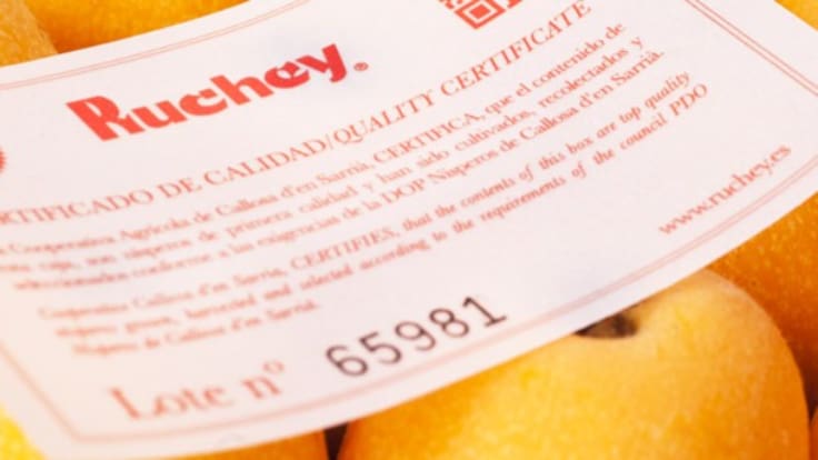 Rafael Gregori (ASAJA) sobre la campaña del níspero