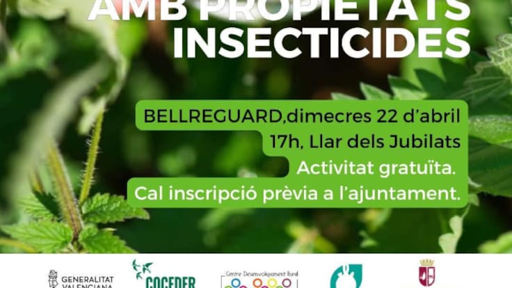 Remedios naturales para las picaduras