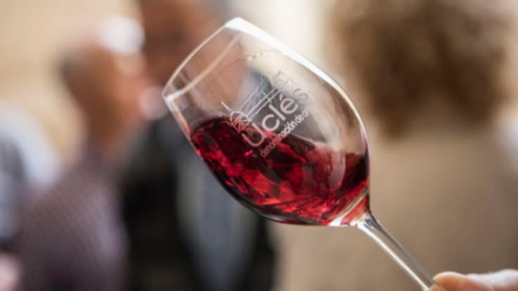 La DO Uclés participa en una cata de la Semana Universitaria del Vino de Madrid