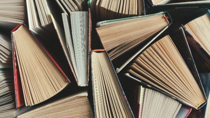 "Ens submergim perquè el lector pugui nedar": la imprescindible ploma dels traductors