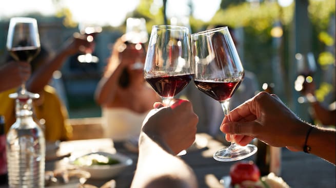 Vi La Llavor: reconexement dels vins valencians