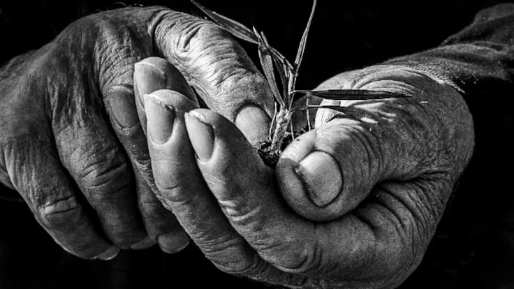 La Llavor 25-04-2026