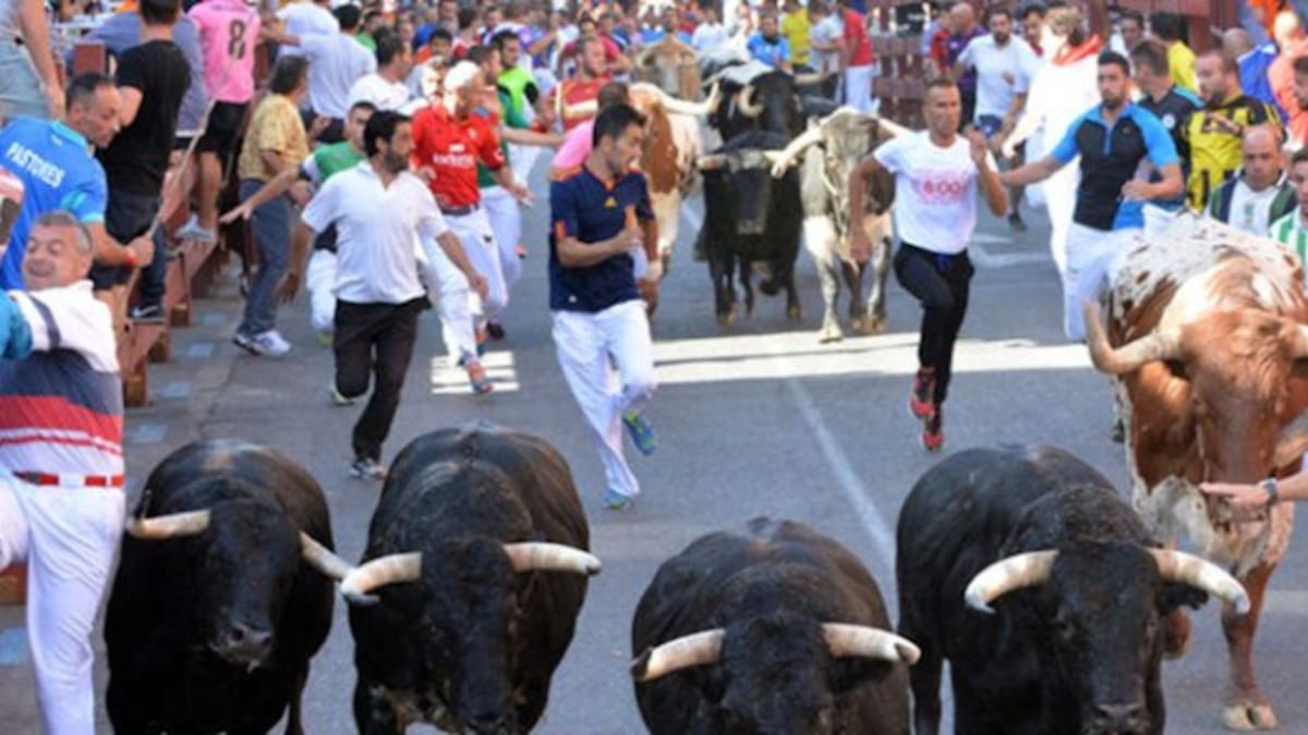 Elena Sánchez, edil de Cultura de Valdemoro, confirma el regreso de los encierros taurinos