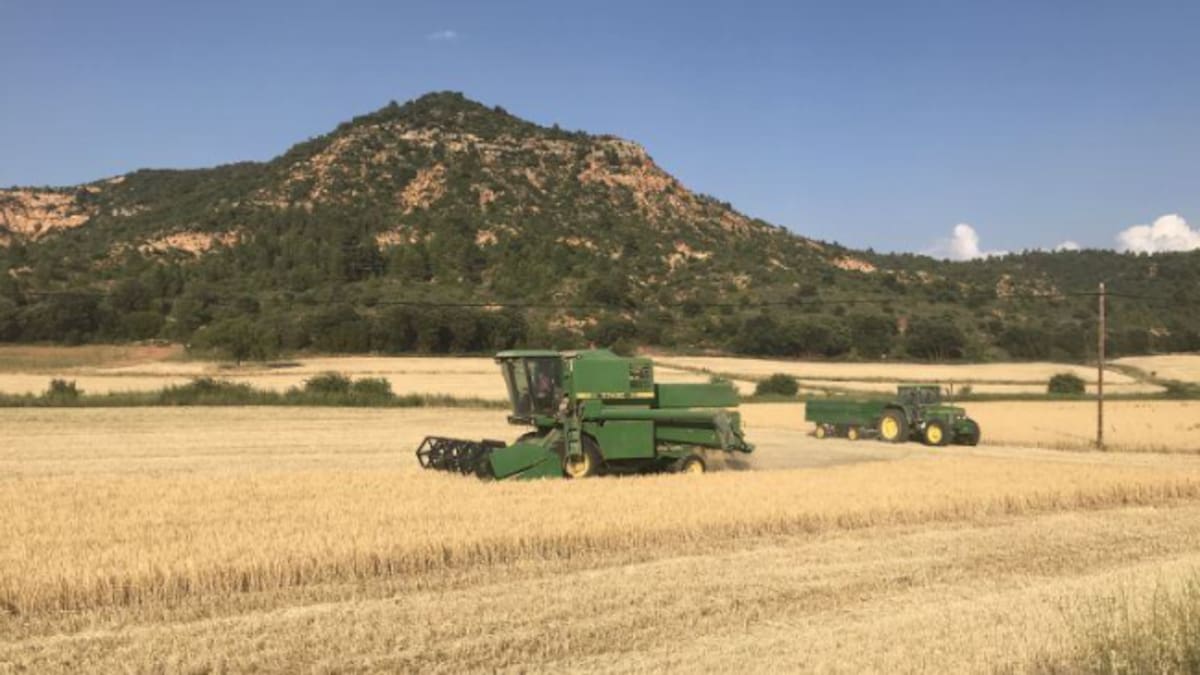 Jaraíz (25/04/2026)