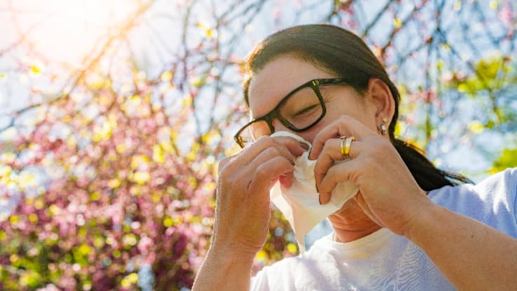Altos niveles de polen de olivo y gramíneas complican la semana a las personas alérgicas en Málaga