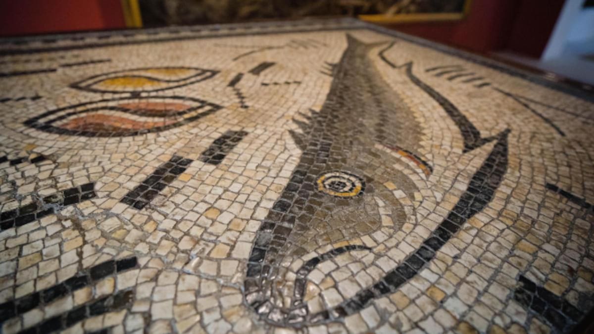 Historias de Galicia que nadie te había contado: El mosaico romano de Panxón