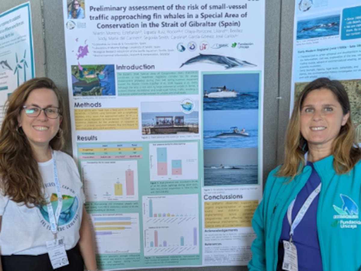 Ecolocaliza presenta en un congreso europeo un estudio sobre el impacto del tráfico marítimo en el rorcual común en el Estrecho
