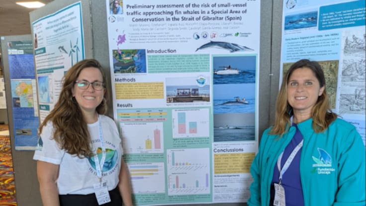 Ecolocaliza presenta en un congreso europeo un estudio sobre el impacto del tráfico marítimo en el rorcual común en el Estrecho
