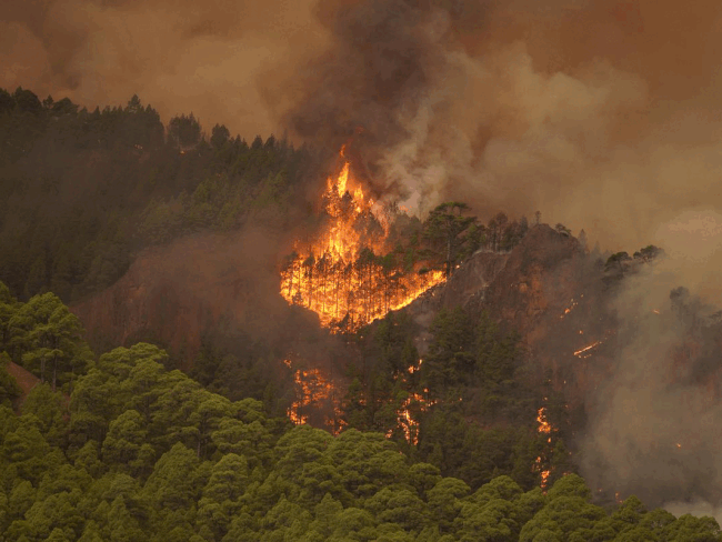 El incendio de Tenerife calcina unas 2.600 hectáreas y obliga a evacuar ...