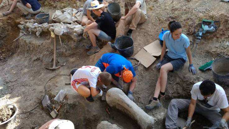 El CAS cree que la Ley de Patrimonio Cultural dejará en un limbo la protección de los restos de dinosaurios